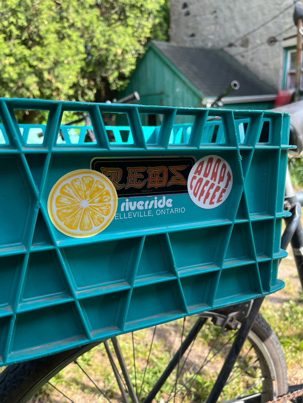 Lemon Sticker