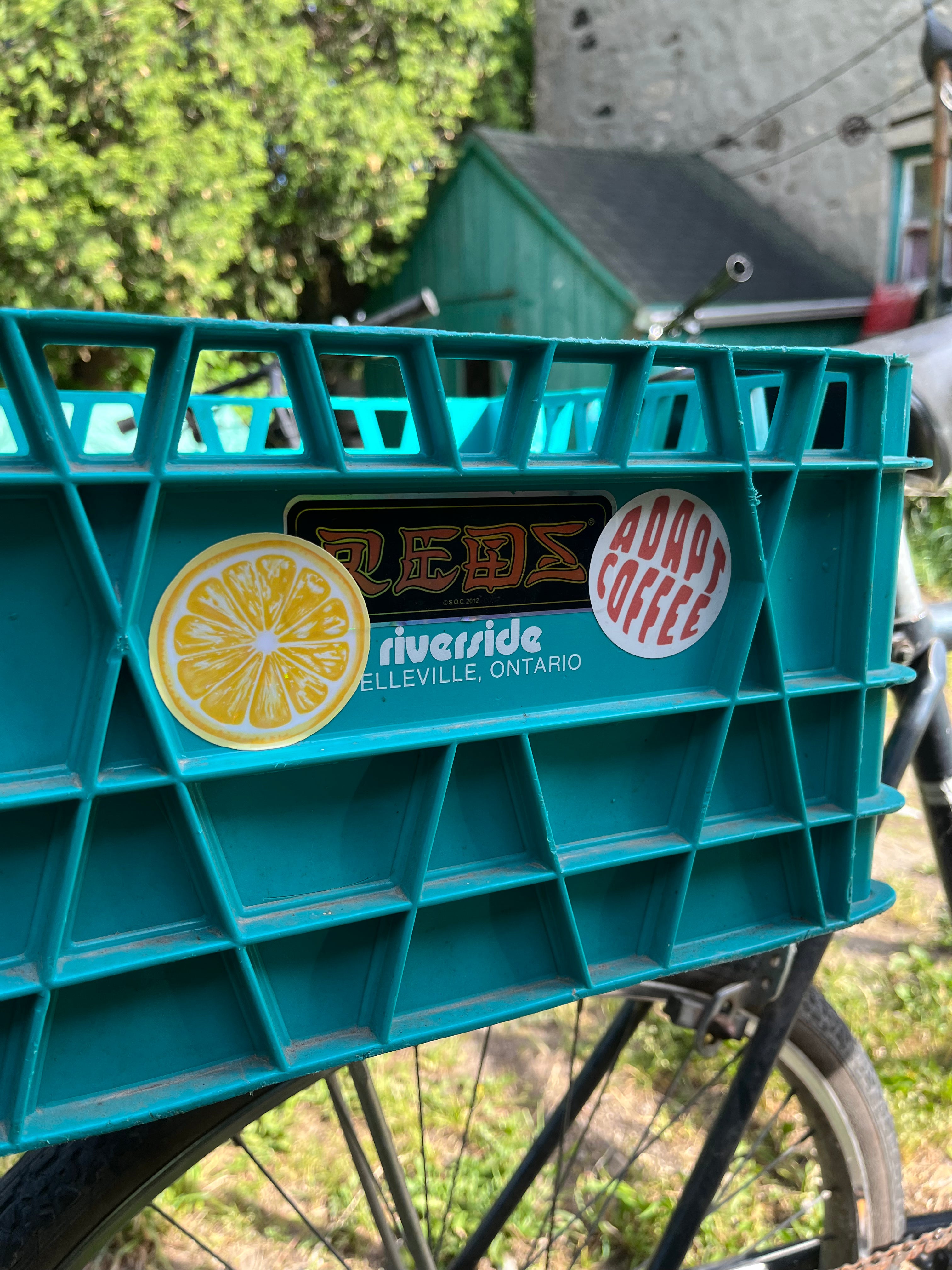Lemon Sticker