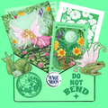 Set of cards with fairy and nature-themed designs on a green background, featuring the brand 'Magic Moon'.