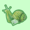 Snail Mail Sticker