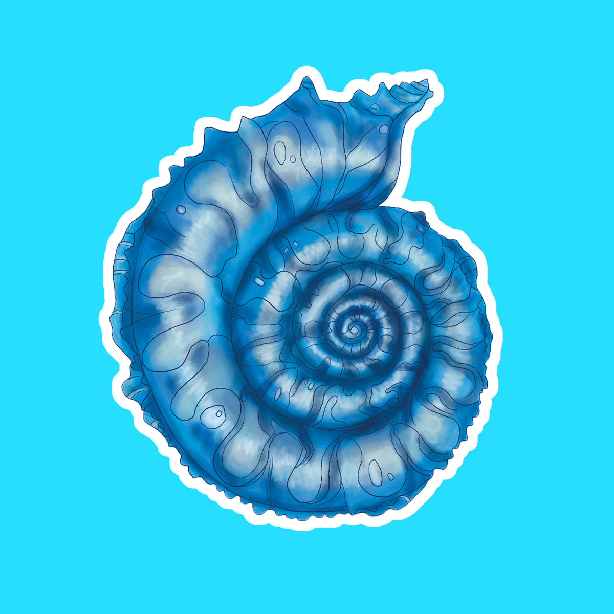 Spiral Shell Sticker – Sydney Scanga Art