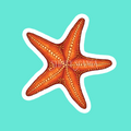 Starfish Sticker